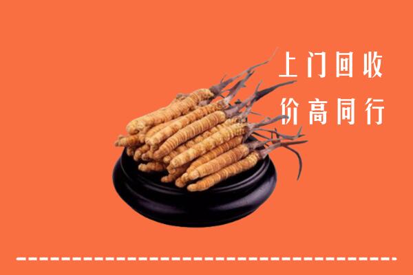 高价求购：红河州绿春回收散虫草