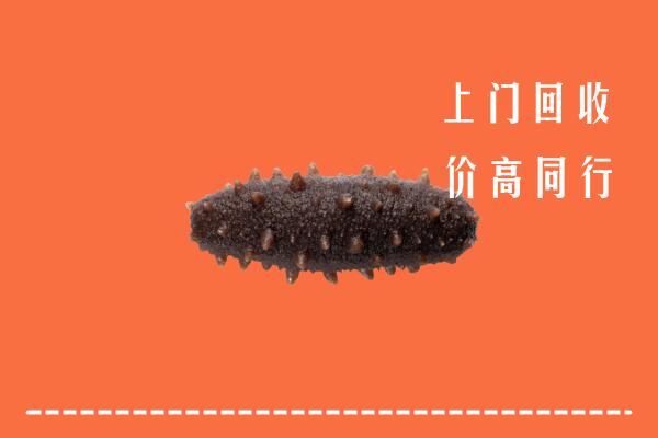 高价求购：红河州绿春回收海参