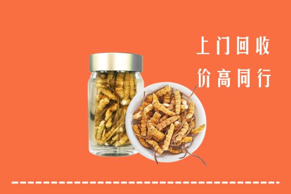 红河州绿春回收冬虫夏草