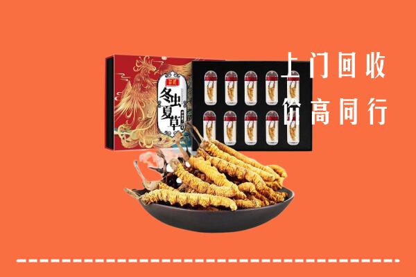 红河州绿春回收虫草